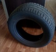 Две летние шины Pirelli R19. Низкопрофильные.